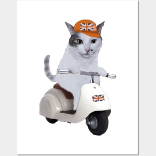 Cat in scooter Posters and Art